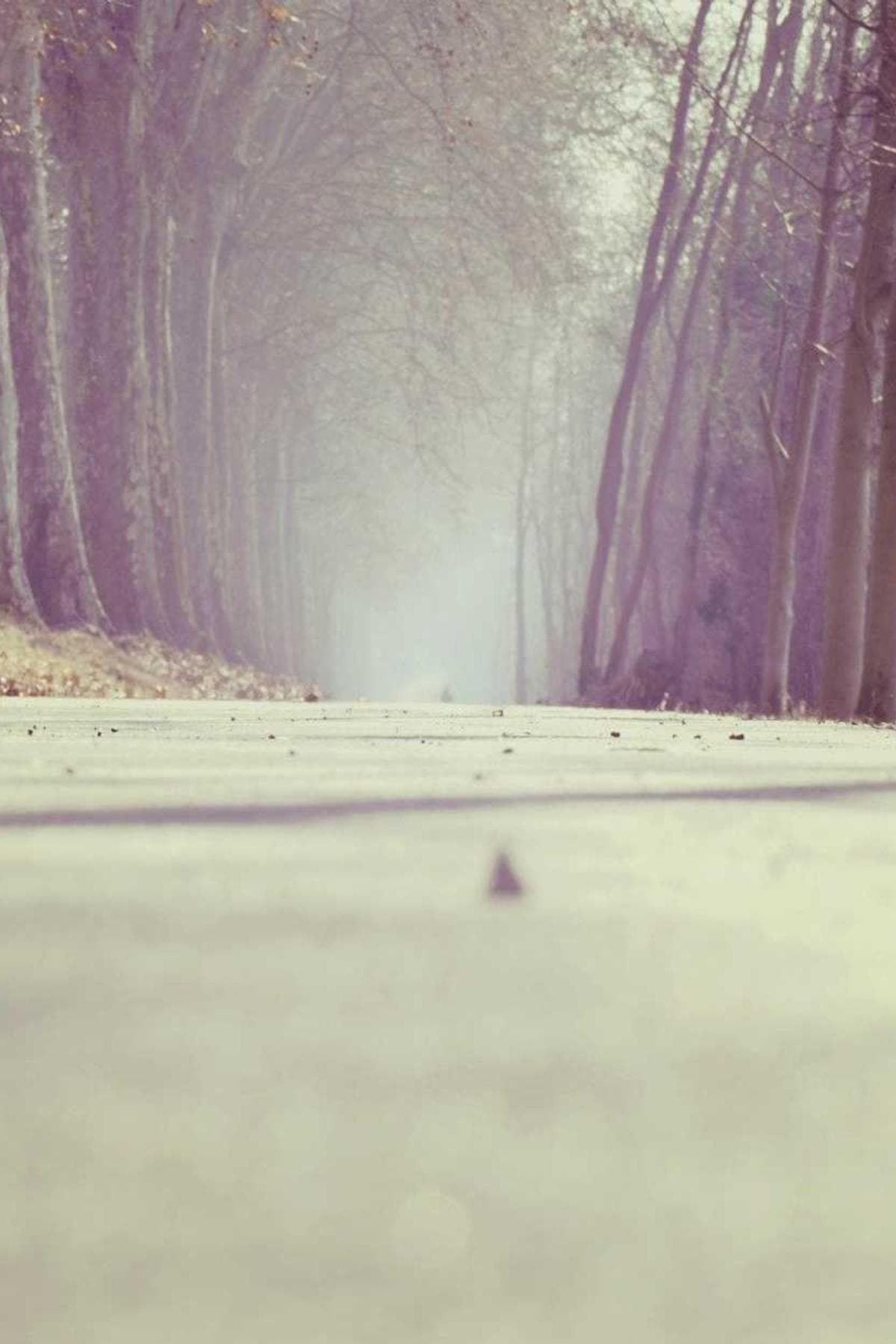 Authentication background